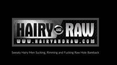 HAIRYANDRAW Amir Badri And Tristan Riant Suck Dick In Group - nvdvid.com